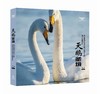 天鹅圣境（湿地光影丛书） 商品缩略图0
