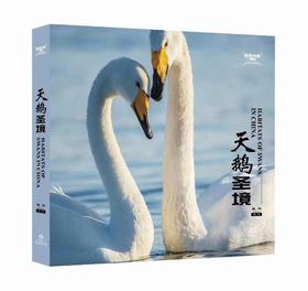 天鹅圣境（湿地光影丛书）