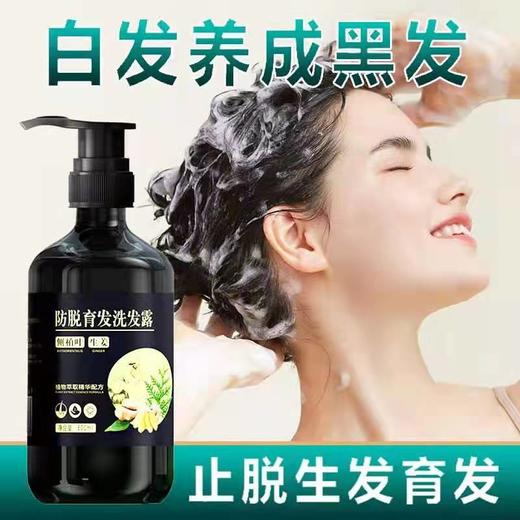 【国妆特证 防脱育发洗发水】臻羞防脱育发洗发露防脱育发滋养发根草本生姜洗发水 商品图2