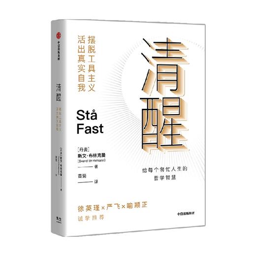 清醒 摆脱工具主义 活出真实自我 清醒哲学三部曲 斯文布林克曼 著 丹麦心理学家给每个匆忙人生的生活智慧 中信出版 商品图1