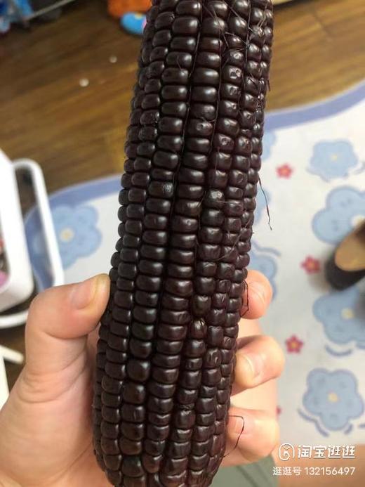 XZG-黑糯玉米（山西） 4根/份～16元 商品图2
