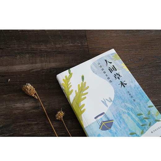 人间草木 汪曾祺散文精选 汪曾祺 著 文学 商品图3