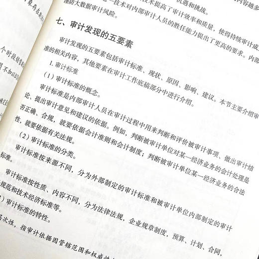 风险导向内bu审计实务指南 付淑威审计实务工具书财务会计审计计划 商品图7