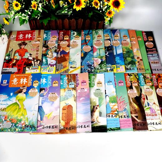 意林•少年版   2022年刊杂志（全22册） 商品图6