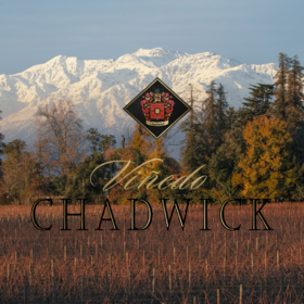 【11.13 武康门票 Wukang Ticket】智利顶级佳酿摇篮-查威克垂直品鉴会 Viñedo Chadwick Vertical Tasting