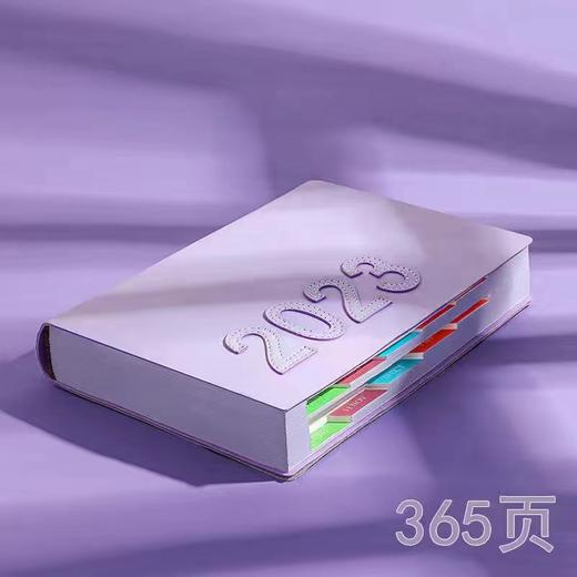 （预售15天发货）【Coco私人定制48小时发货】 2023日程安排笔记本一日一页365天 商品图1