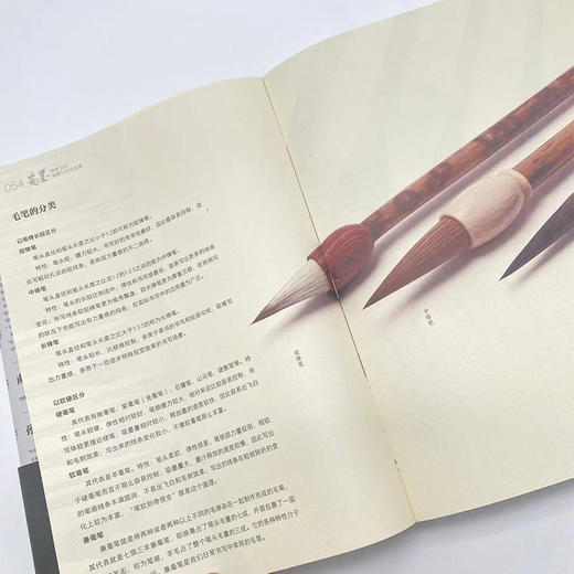 荒墨 商业书法案例与应用实战 黄科 字体设计书广告平面设计艺术字体东方美学书法字体临摹影视游戏广告海报设计商业案例 商品图4