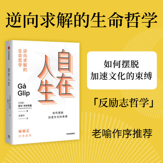 中信出版 | 《清醒》+《生命的立场》+《自在人生》斯文·布林克曼 著 反励志哲学三部曲 商品图2