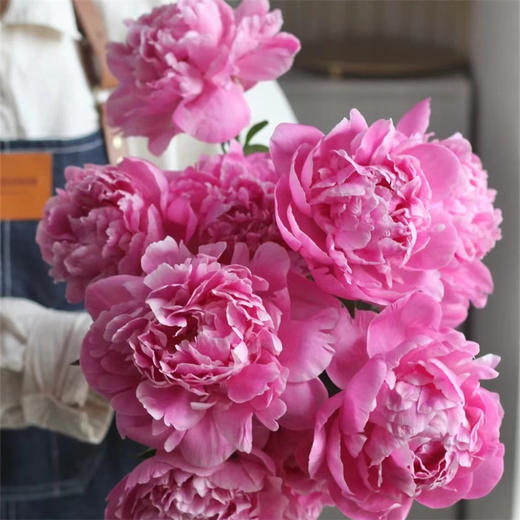 精品花材弗莱明芍药花 商品图4