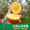 四川大凉山丑苹果8斤 商品缩略图0