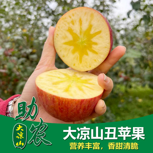 四川大凉山丑苹果8斤 商品图0