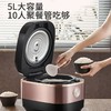 【低糖铁釜】九阳IH电磁加热铁釜内胆电饭煲5.0L升智能预约电饭锅 商品缩略图1