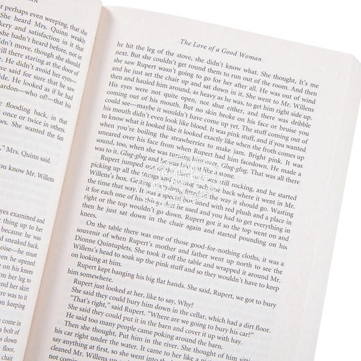 预售 【中商原版】艾丽斯芒罗故事选集 第二卷 1995-2009年 英文原版 Selected Stories Volume Two 1995-2009 Alice Munro 商品图3