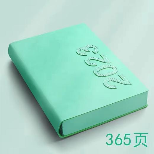 （预售15天发货）【Coco私人定制48小时发货】 2023日程安排笔记本一日一页365天 商品图0