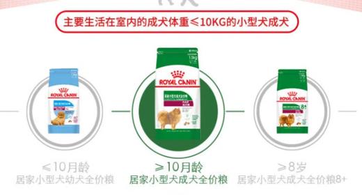 皇家狗粮居家小型犬成犬粮 1.5kg 商品图2