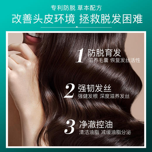 【国妆特证 防脱育发洗发水】臻羞防脱育发洗发露防脱育发滋养发根草本生姜洗发水 商品图8
