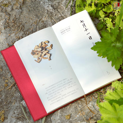 2023年《红楼梦日历》（香事版） 商品图6