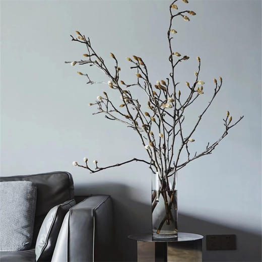 玉兰鲜切花一扎 商品图8