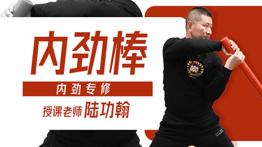 【胯劲专修】3—内劲棒（内劲专修） 训练营 商品图0