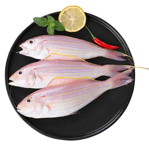 金线鱼 2条/袋  | 深海野生海钓海鲜 商品图4