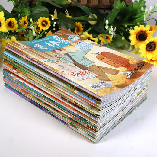 意林•少年版   2022年刊杂志（全22册） 商品图5