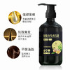 【国妆特证 防脱育发洗发水】臻羞防脱育发洗发露防脱育发滋养发根草本生姜洗发水 商品缩略图5