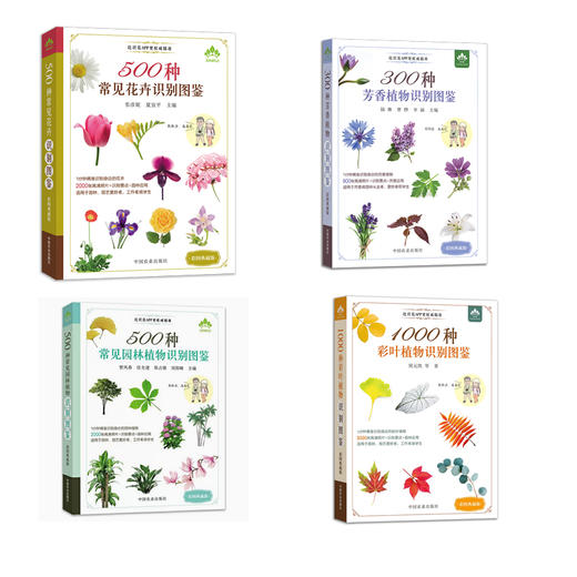 【花卉、园林植物、芳香植物、彩叶植物】识别图鉴（4本套装）比识花APP更精准 商品图0