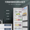 海尔（Haier）冰箱 BCD-217WGHC3E9C9U1 商品缩略图3