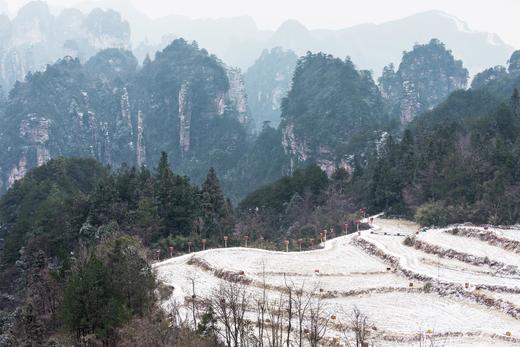 1月12日确定出发【颂雪·冬韵•张家界】日出•云海•雾凇5天摄影 商品图7