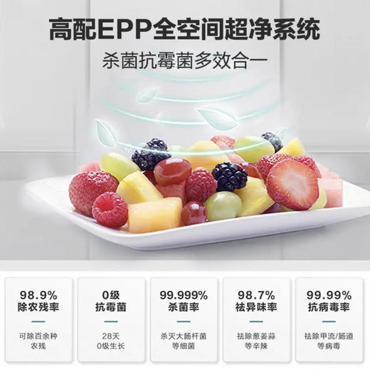 海尔（Haier）冰箱 BCD-217WGHC3E9C9U1 商品图11