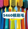 【29一盒12支】 瑞士GOORAL牙刷5460根刷毛 0.01mm极细刷丝深入牙缝 有效洁牙 一盒12支 商品缩略图1