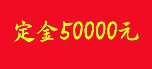 定金50000元 商品图0