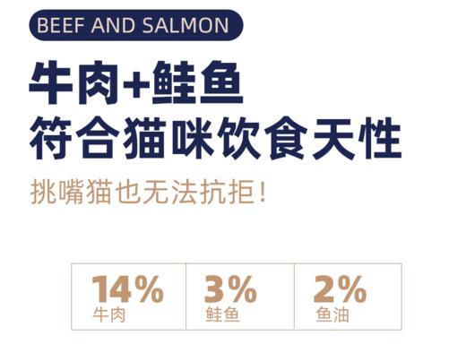 艾尔牛肉鲑鱼全价猫粮 成猫幼猫通用型美短加菲英短猫粮1斤装 500g 商品图4