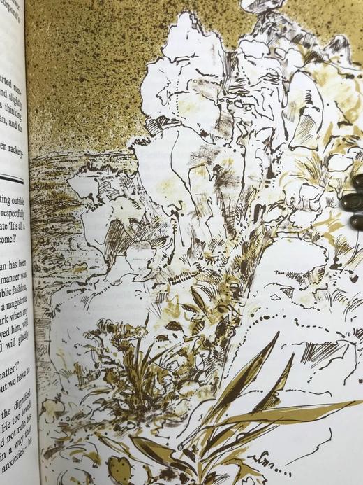 爱德华·摩根·福斯特《印度之行》（1983） 11幅插图 精装18开带书匣 商品图10