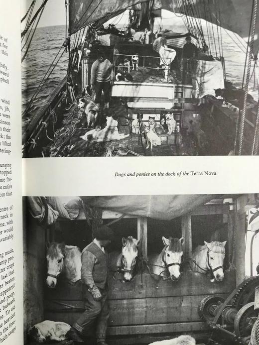 斯科特的最后一次探险 16幅插图 精装16开带书匣 商品图12