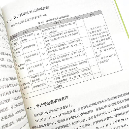 风险导向内bu审计实务指南 付淑威审计实务工具书财务会计审计计划 商品图6