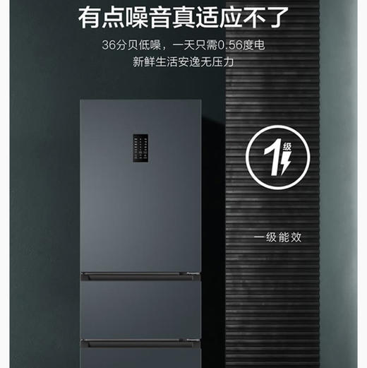 海尔（Haier）冰箱 BCD-217WGHC3E9C9U1 商品图7