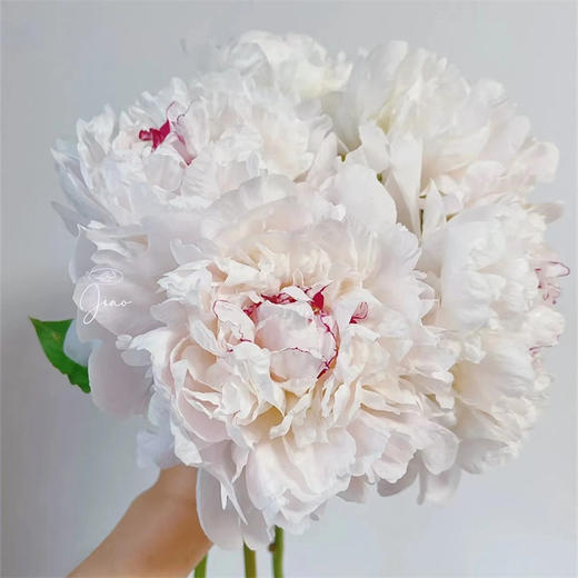 精品花材嘉年华芍药5支 商品图3