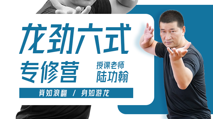 【脊背专训】2—龙劲六式专修 训练营课程