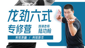 第4课：龙劲合劲三式之推山