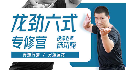 【脊背专训】2—龙劲六式专修 训练营课程 商品图0