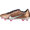 NIKE/耐克 ZOOM VAPOR 15 ACADEMY FG/MG 刺客15 低帮中端FG/MG足球鞋DR5941810 商品缩略图3