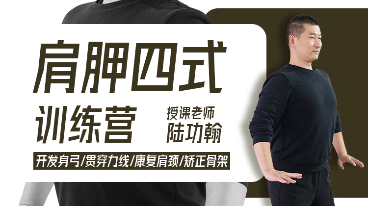 【脊背专训】1—肩胛四式 训练营