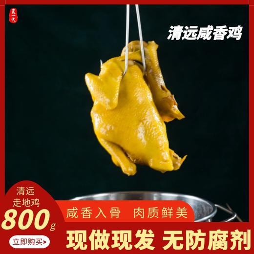 中宿麻鸡 广东清远咸香鸡800g 商品图2