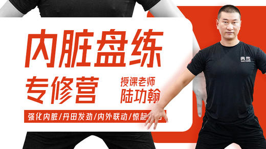 第6课：强健五脏六腑 商品图0