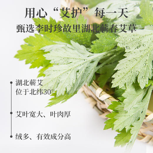 【买2送1】蕲艾足贴 2贴/袋*5 艾草足贴 脚底足底 深层拔湿 商品图1