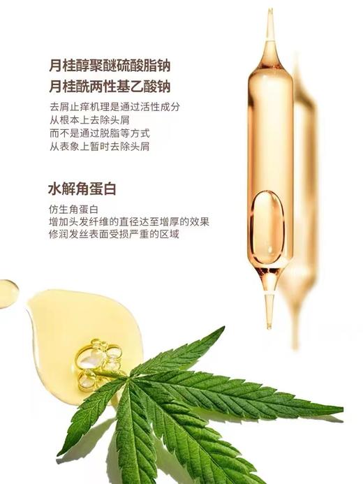 【VIP】芭思蔻白松露洗发水500ml/护发素/沐浴露/洗护套装 商品图5
