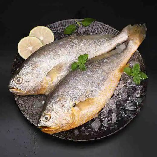 深海野游大黄花鱼（1-2斤） | 深海野游海鲜 商品图1