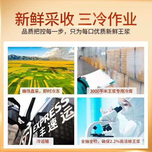 【尊享5盒装|买5月送45天】汪氏甄品蜂皇浆王浆酸含量≥2.2% 300g*5（送15g王浆片3盒，到手6个月量） 商品图2