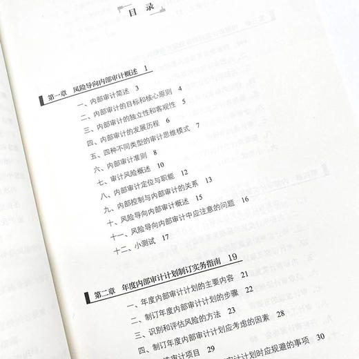 风险导向内bu审计实务指南 付淑威审计实务工具书财务会计审计计划 商品图11